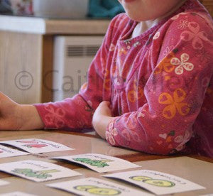 girl at desk doing flashcards
