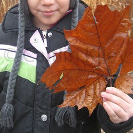 Students at the Aldo Leopold Nature Center.