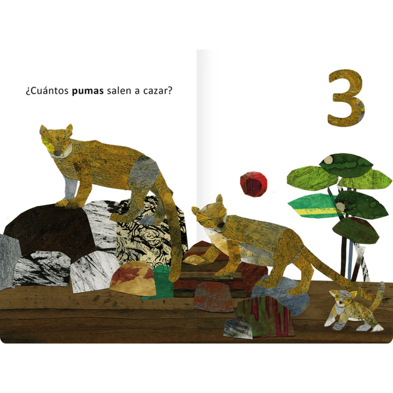 1,2,3, ¿cuántos ves?
