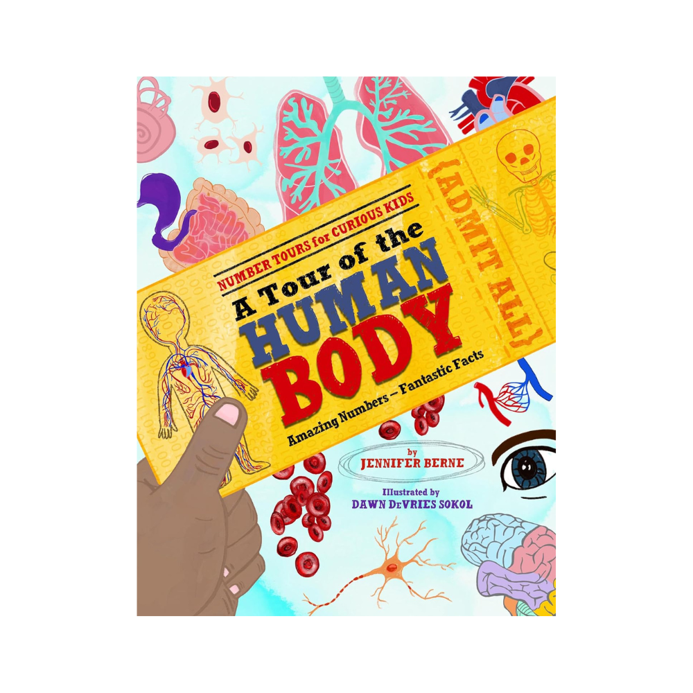 A Tour Of The Human Body