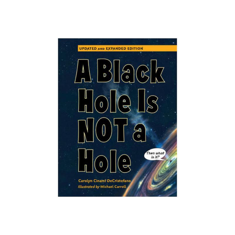 A Black Hole Is Not a Hole