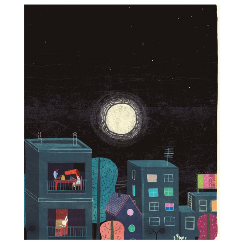 Adela y los calcetines desaparecidos