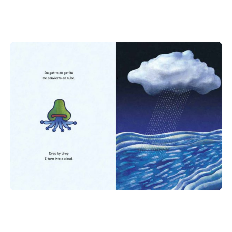 Agua Aguita