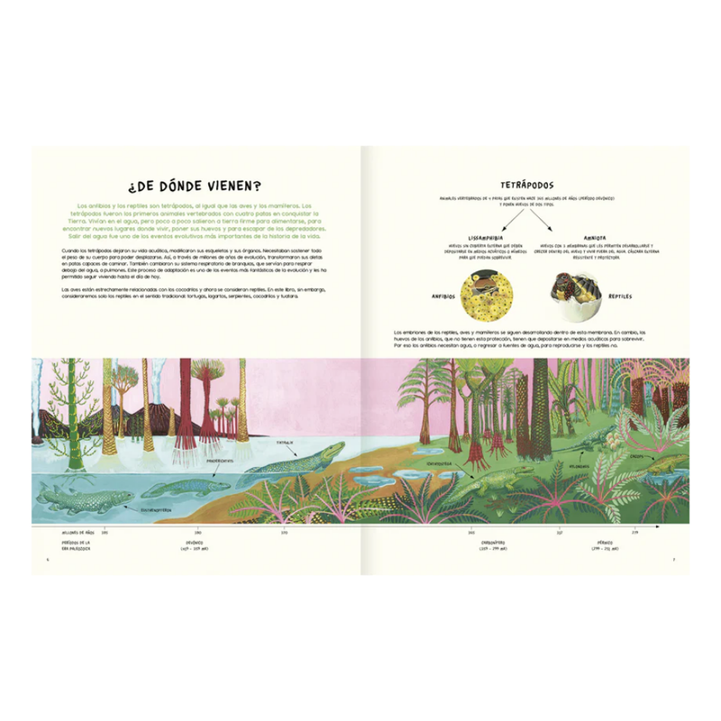 Agua y tierra, anfibios de América