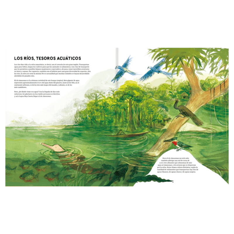 Amazonas