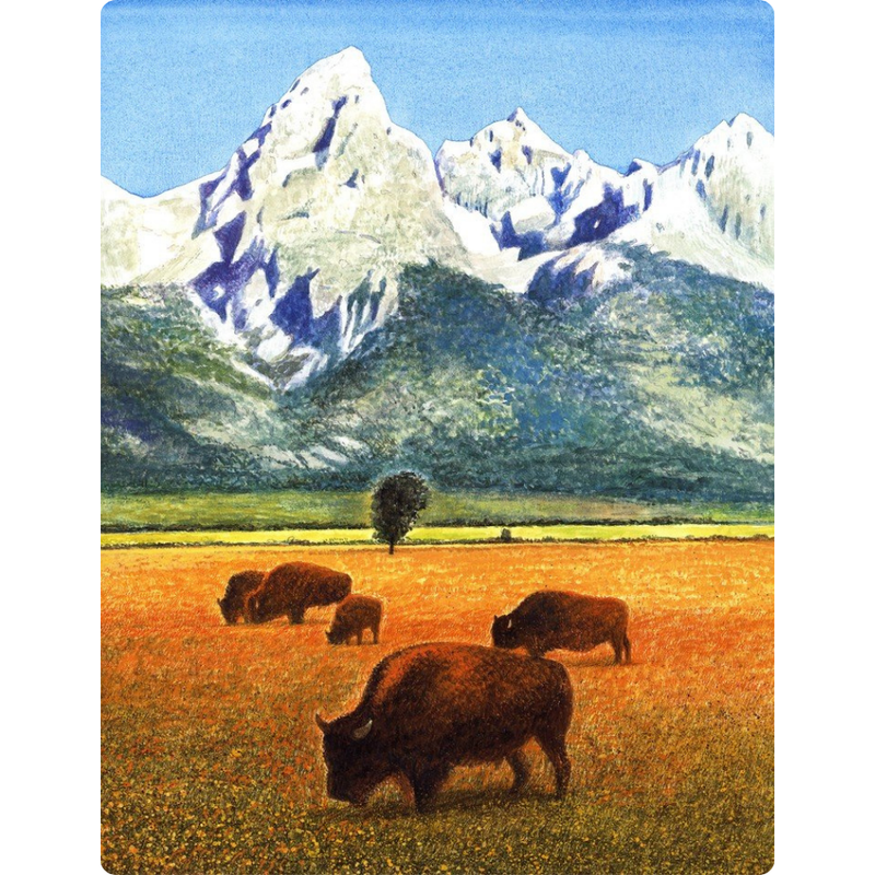 America The Beautiful