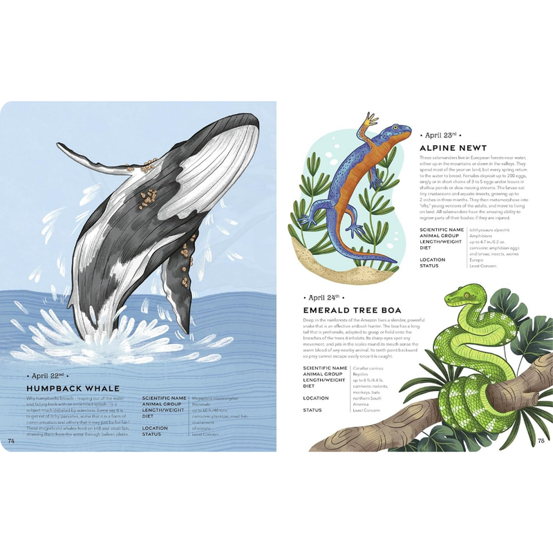 An Animal A Day 365 Amazing Animals To Take You Through The Year