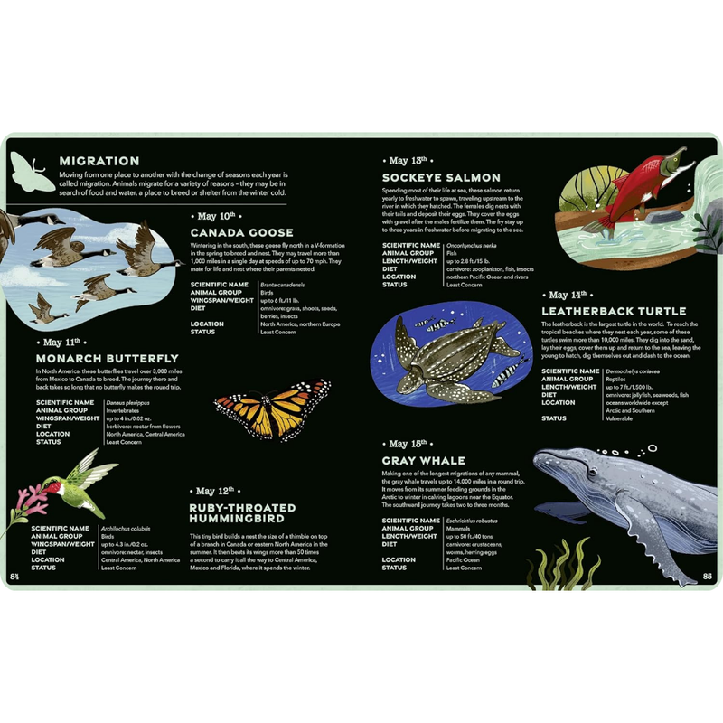 An Animal A Day 365 Amazing Animals To Take You Through The Year