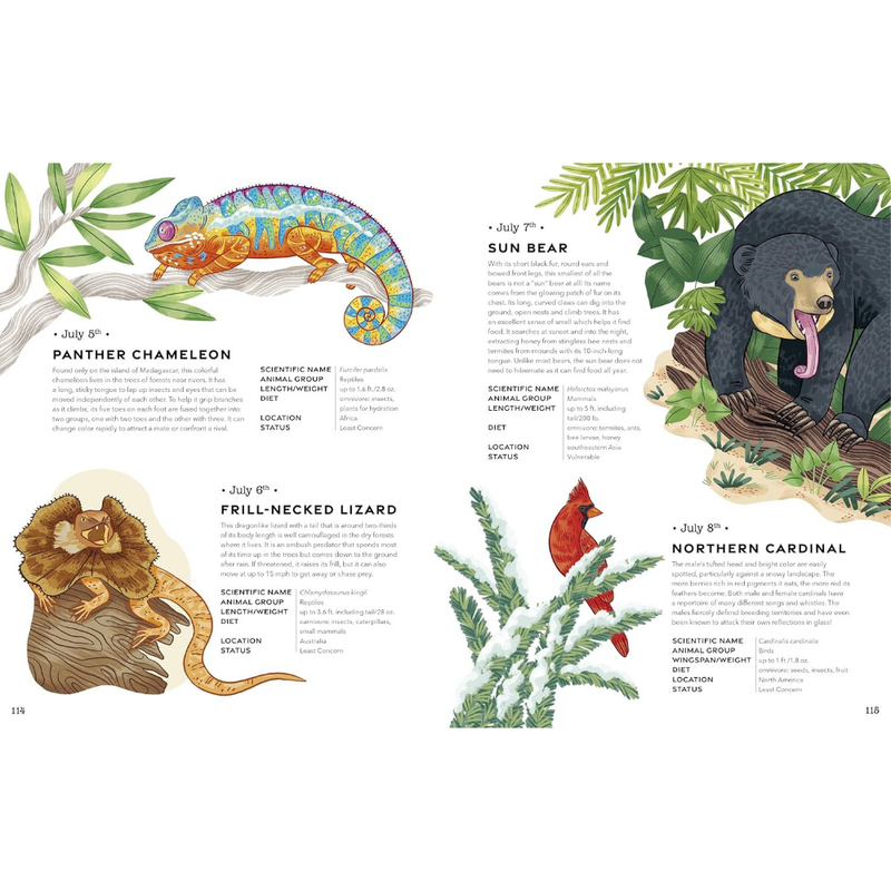 An Animal A Day 365 Amazing Animals To Take You Through The Year