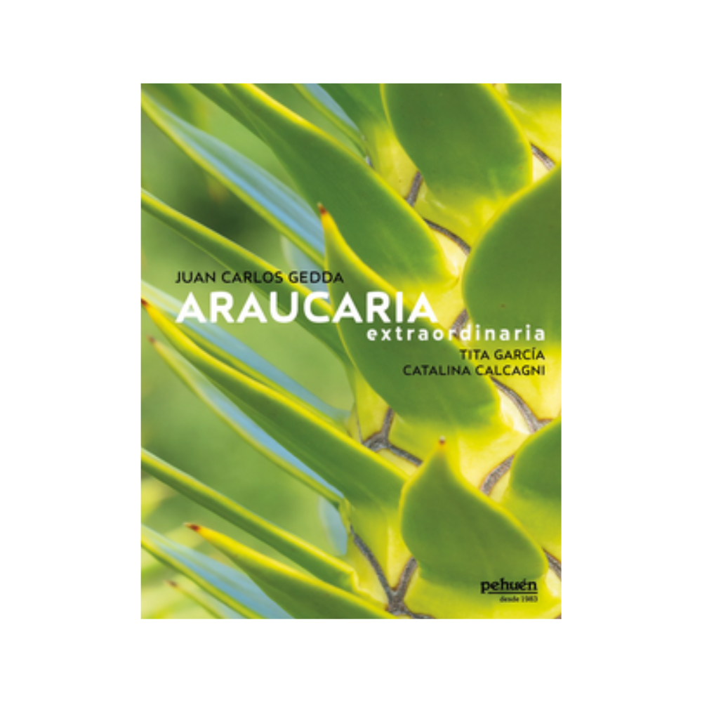Araucaria extraordinaria