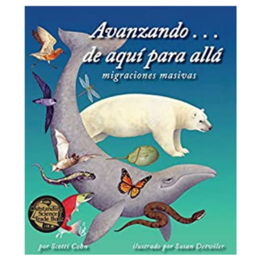 Avanzando...de aqui para alla