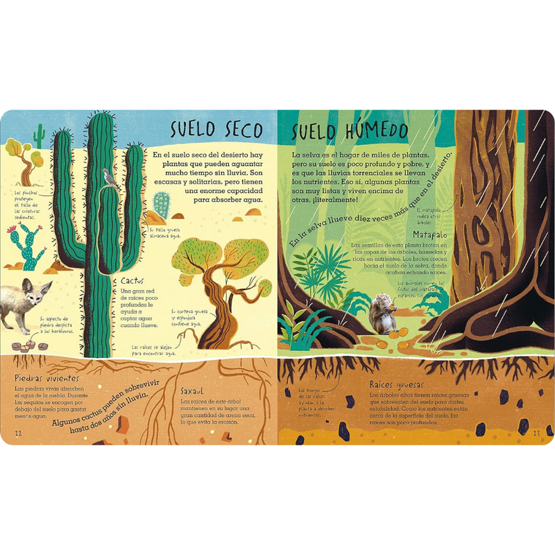 Bajo tus pies: suelo, arena y todo lo que hay bajo tierra