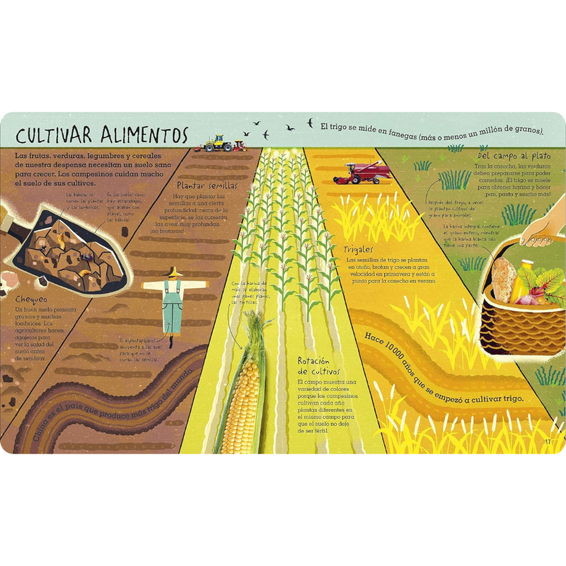 Bajo tus pies: suelo, arena y todo lo que hay bajo tierra