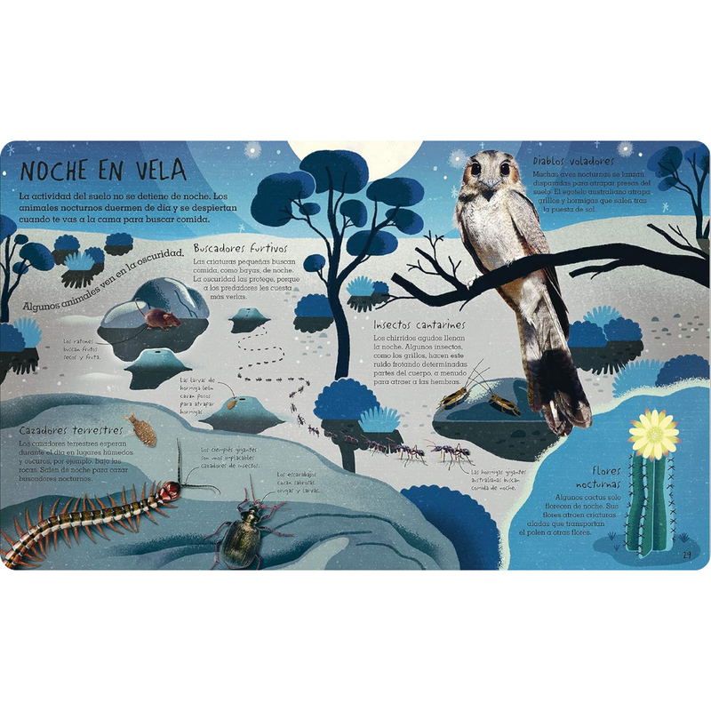 Bajo tus pies: suelo, arena y todo lo que hay bajo tierra