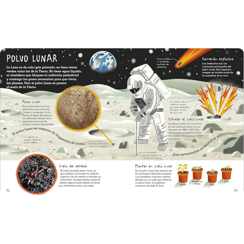 Bajo tus pies: suelo, arena y todo lo que hay bajo tierra