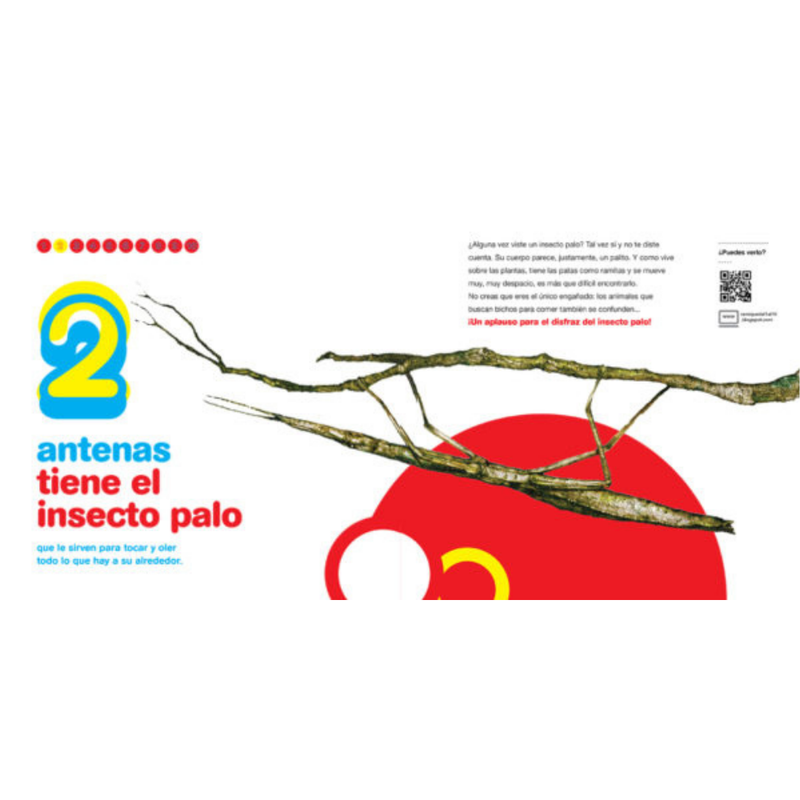 Bichos del 1 al 10
