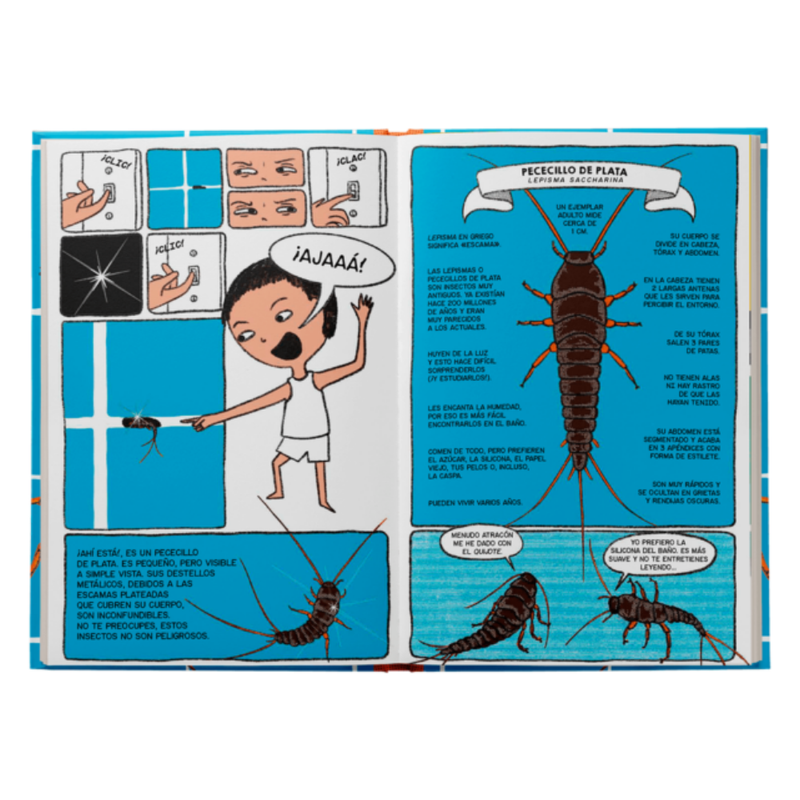 Bichos. La jungla en casa