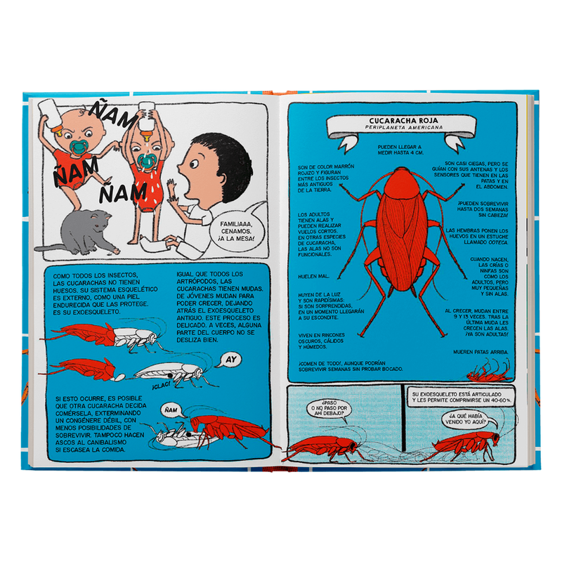 Bichos. La jungla en casa