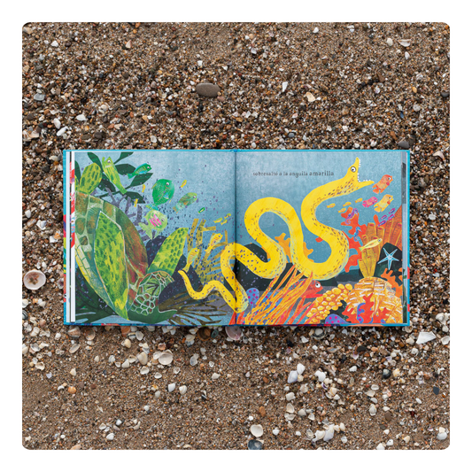 ¡BUU! Un misterio marino