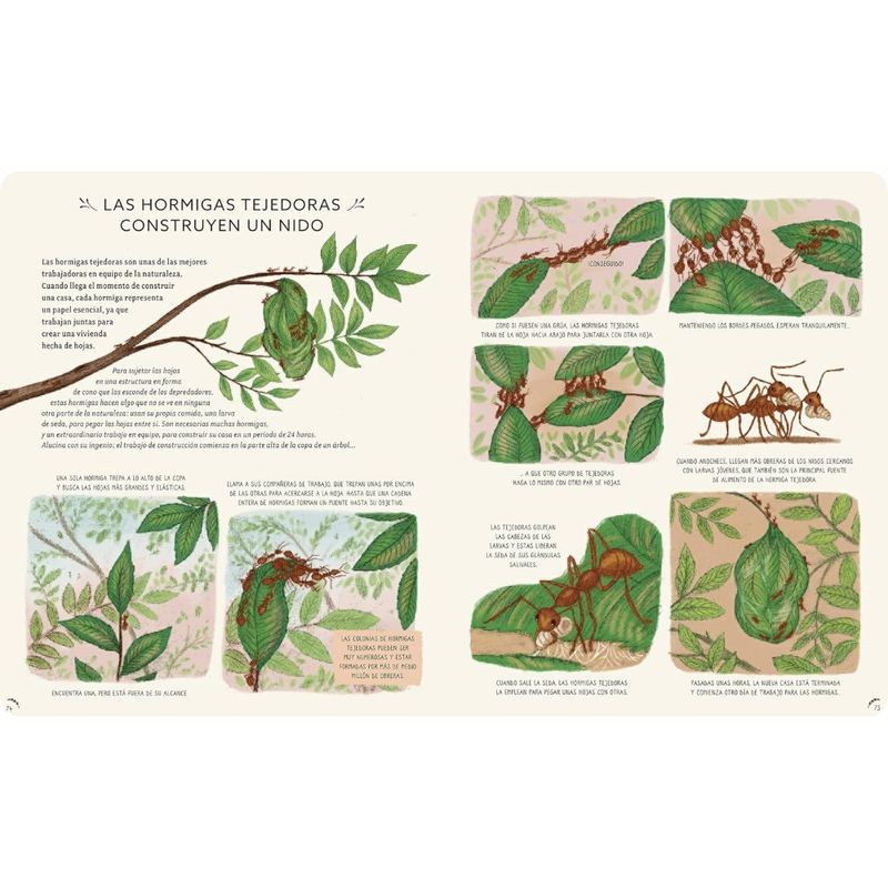 Con calma. 50 historias de la naturaleza