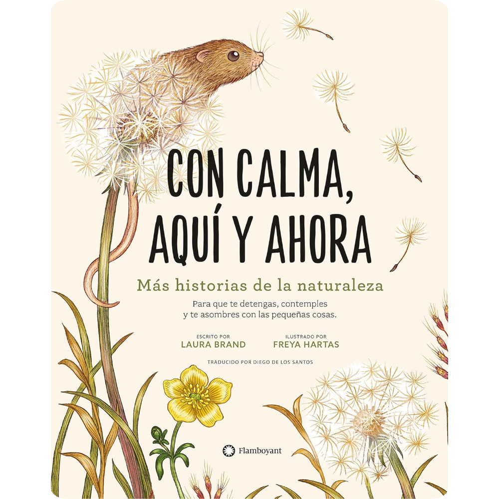 Con calma aquí y ahora