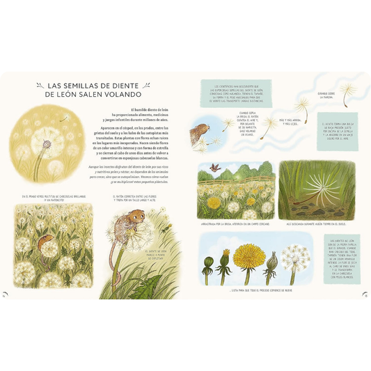 Con calma aquí y ahora