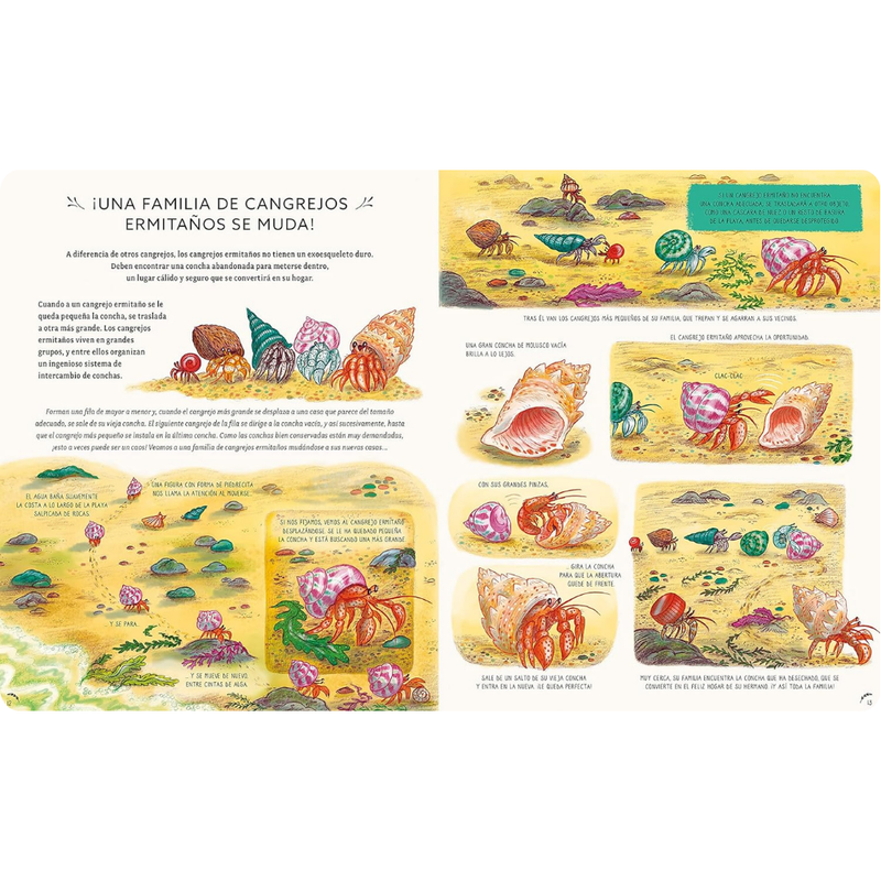 Con calma aquí y ahora