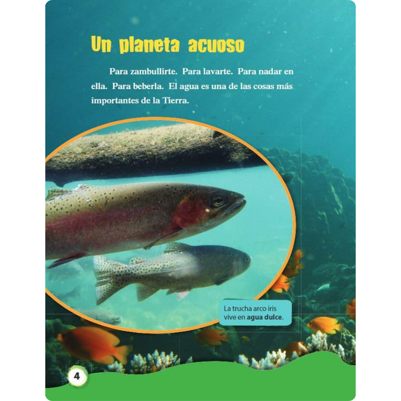 Cuerpos de agua