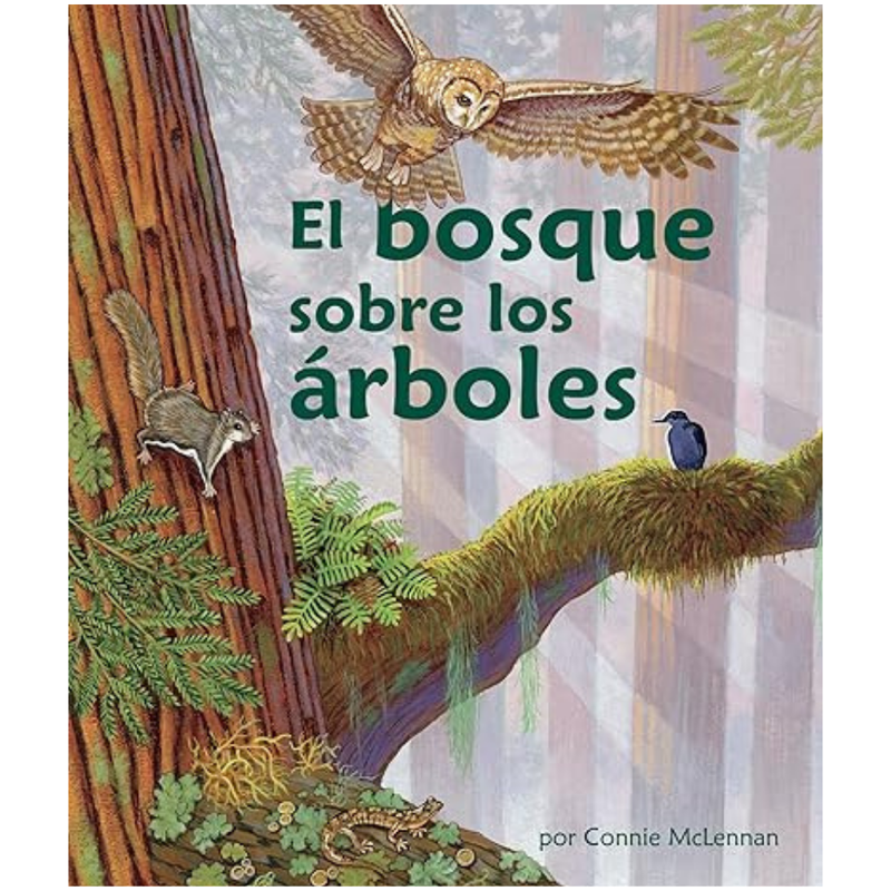 El bosque sobre los árboles