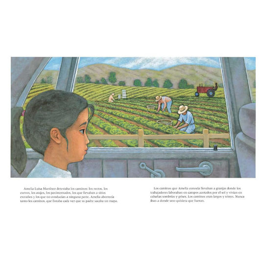 El camino de Amelia