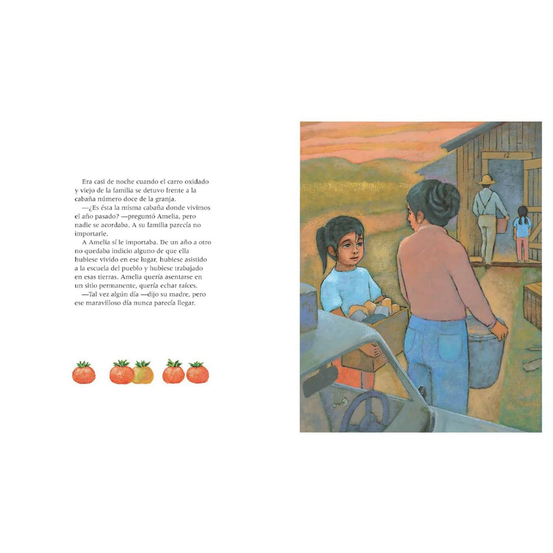 El camino de Amelia