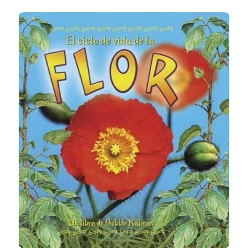 El ciclo de vida de la flor
