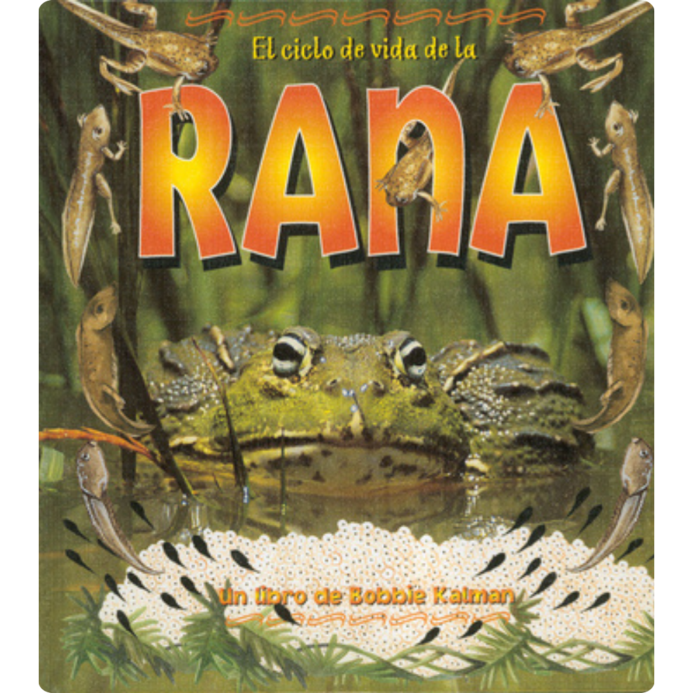 El ciclo de vida de la rana