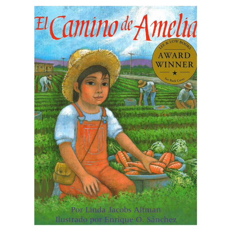 2nd Grade, Estudio de Género. Ficción Realista