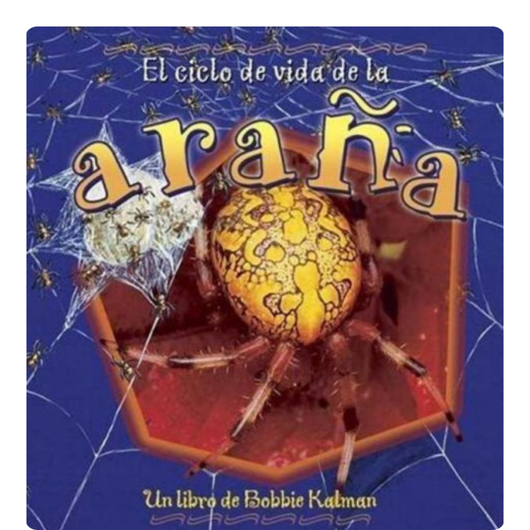 3rd Grade, Ciclos de Vida