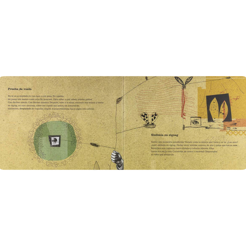 El vuelo de Luci (cuaderno de tareas)