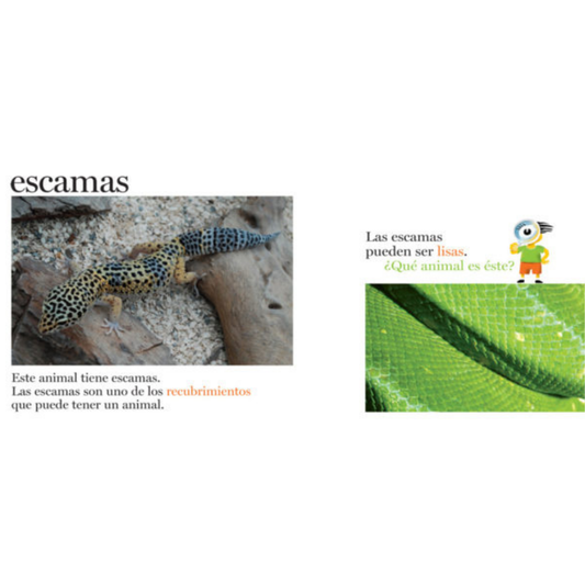 Escamas y más escamas