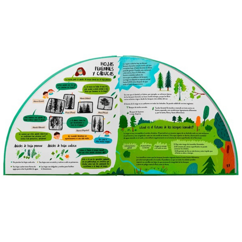 Explora los bosques en 360º