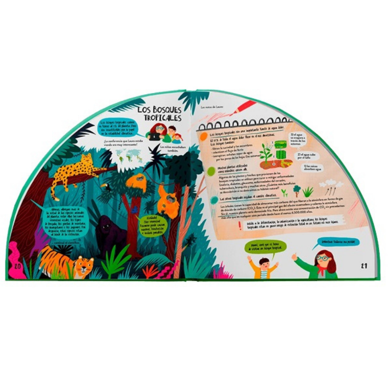 Explora los bosques en 360º
