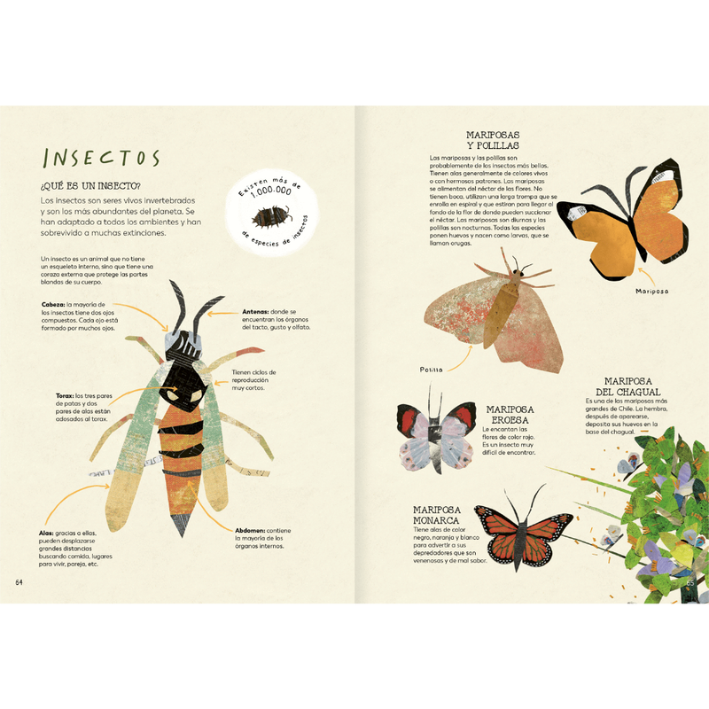 Explora tu mundo natural