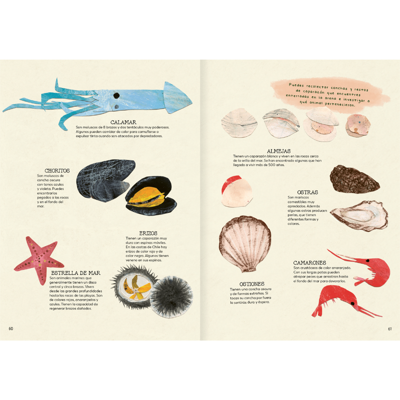 Explora tu mundo natural