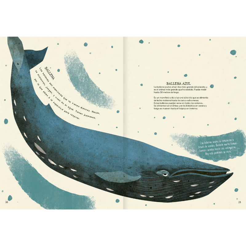 Explora tu mundo natural