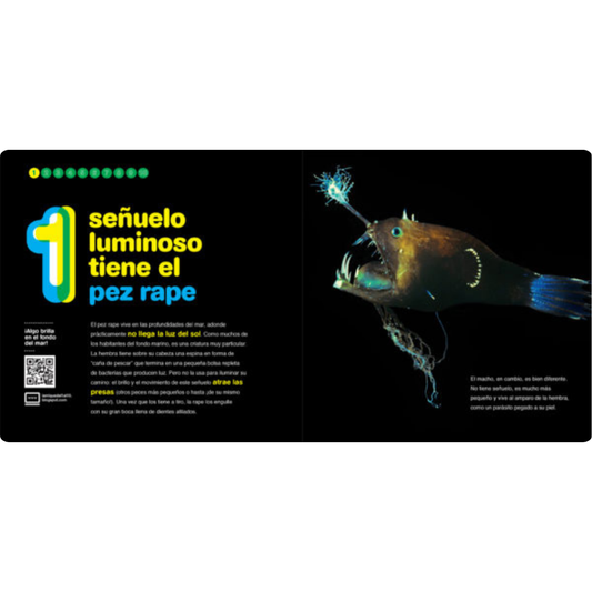 Habitantes del mar del 1 al 10