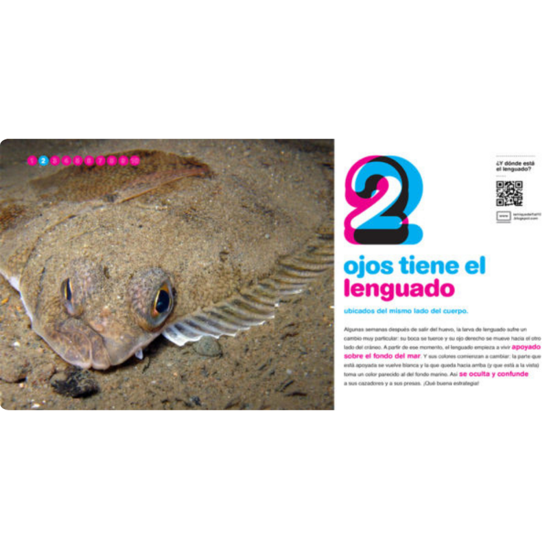 Habitantes del mar del 1 al 10