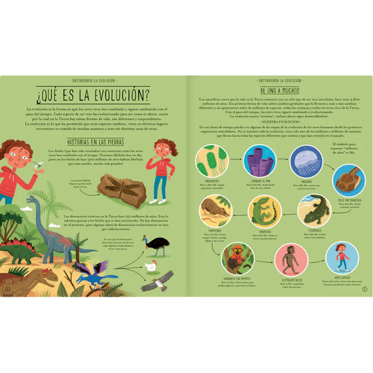 Increíble evolución