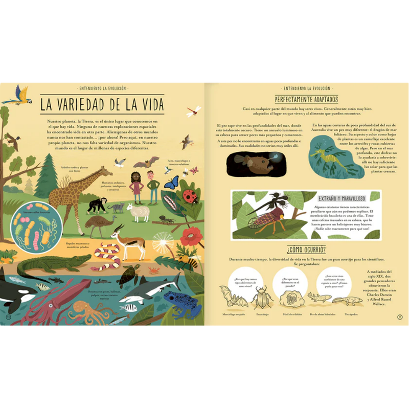 Increíble evolución