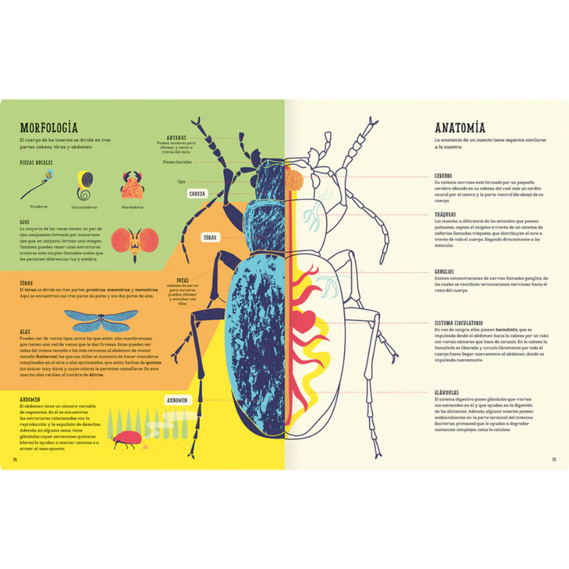 Insectopedia