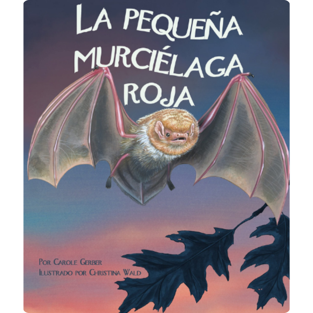 La pequeña murciélaga roja