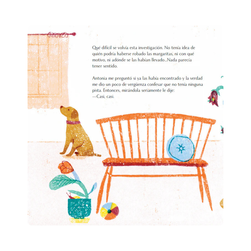 Las margaritas de Antonia