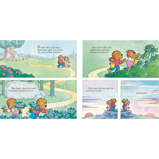Let's Talk About Money (Berenstain Bears)